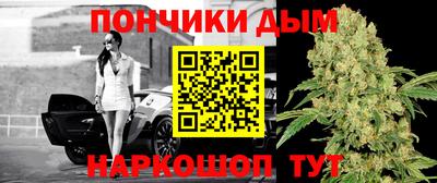 гидропоника Кунгур
